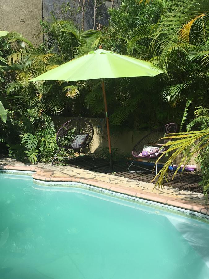 Le Chalet Dazae La Riviere Saint-Louis Exteriör bild